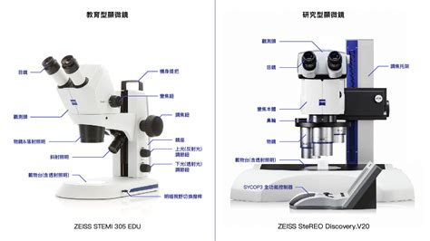 凹透鏡應用|光學顯微鏡原理及其應用